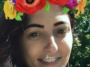 Anes
