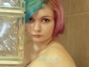 Aster_Grey