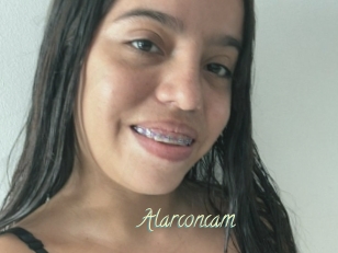 Alarconcam