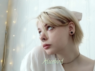 Alicebird