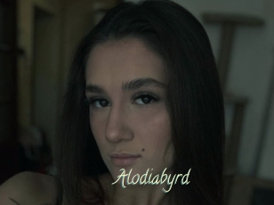 Alodiabyrd