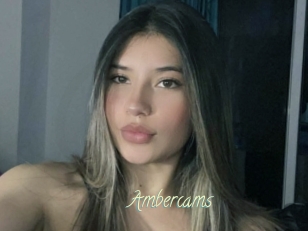 Ambercams