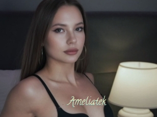 Ameliatek