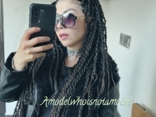 Amodelwhoisnotamodel