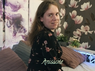 Anisacite