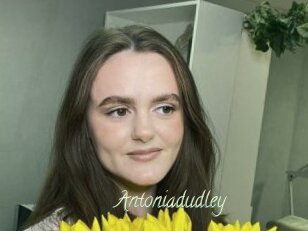 Antoniadudley