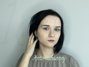 Antoniahanney