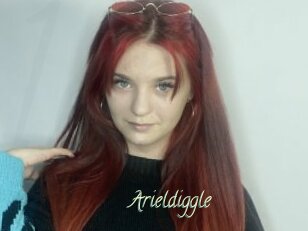 Arieldiggle