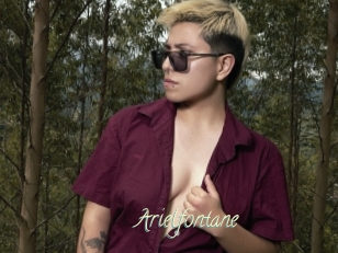 Arielfontane