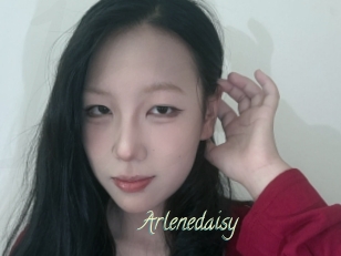 Arlenedaisy