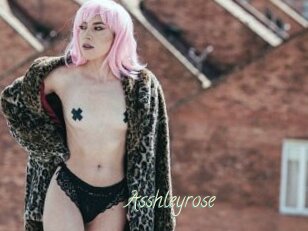 Asshleyrose