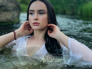 Avilarose