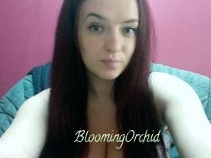 BloomingOrchid