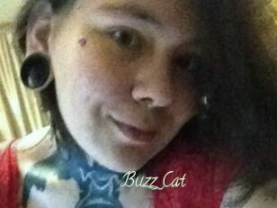 Buzz_Cat