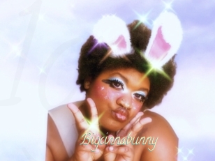 Bigcinnabunny
