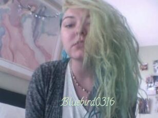 Bluebird0316