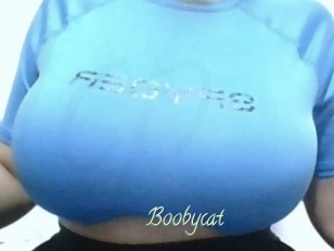Boobycat