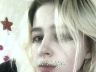 Breeboggus