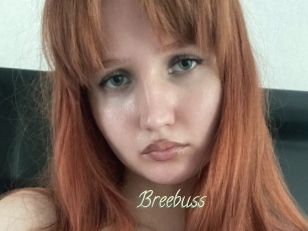 Breebuss