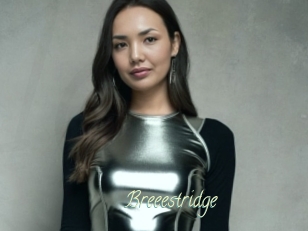Breeestridge