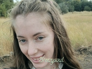 Breezysoul
