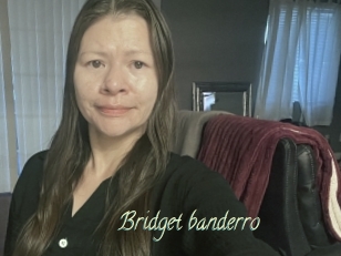 Bridget_banderro