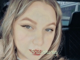 Bridgetharkey