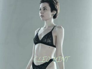 CLEO_MINT