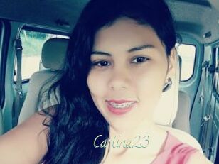 Carlina23