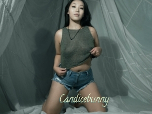 Candicebunny