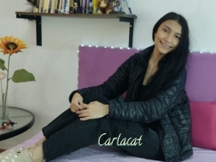 Carlacat