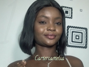 Cartercamelia