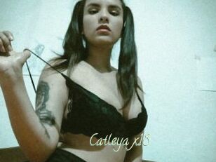 Catleya_x18