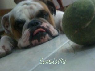 Cumalot4u
