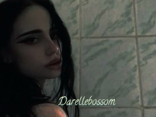 Darellebossom