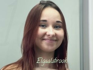 Elgaalsbrook