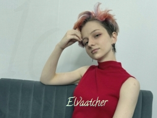 Elvaatcher