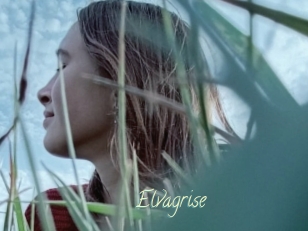 Elvagrise