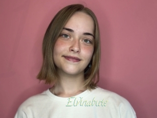 Elvinabute