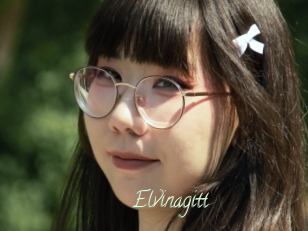 Elvinagitt