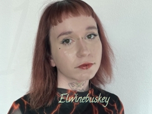 Elwinebuskey