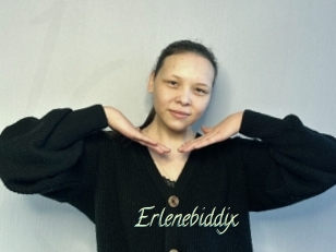 Erlenebiddix