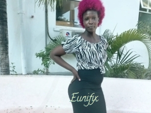 Eunifix