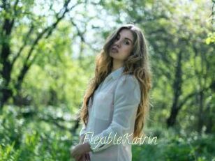 FlexibleKatrin