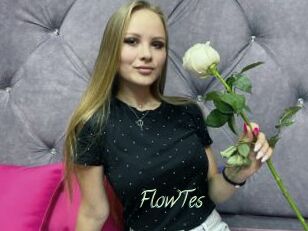 FlowTes
