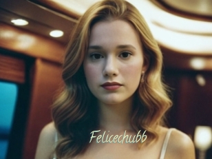 Felicechubb