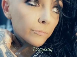 Fiestykitty