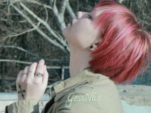 GessNice