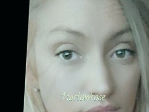 Harlowrose