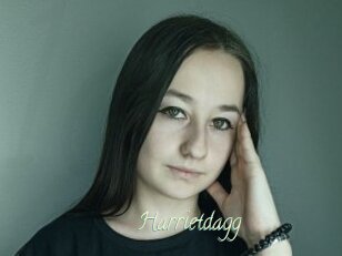 Harrietdagg